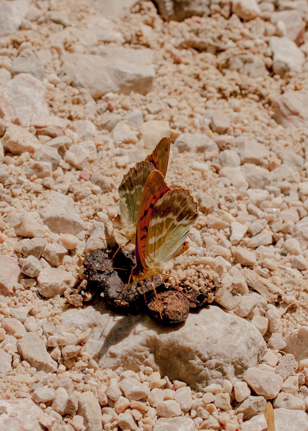 nora-hollstein-photography-itsnicethat-1.jpg