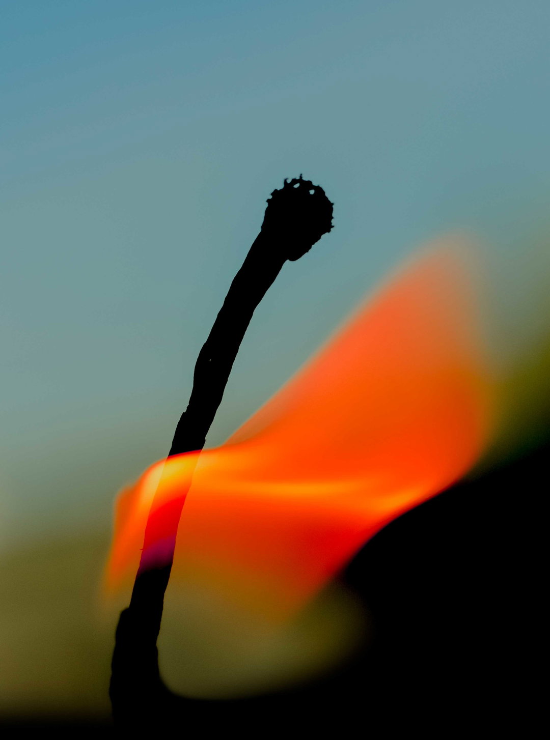 nora-hollstein-photography-itsnicethat-13.jpg