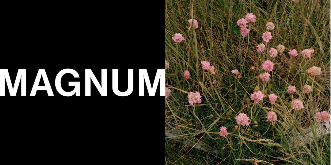 north-magnum-graphic-design-itsnicethat-03.original_bheqV78XINeEcI5k.jpg