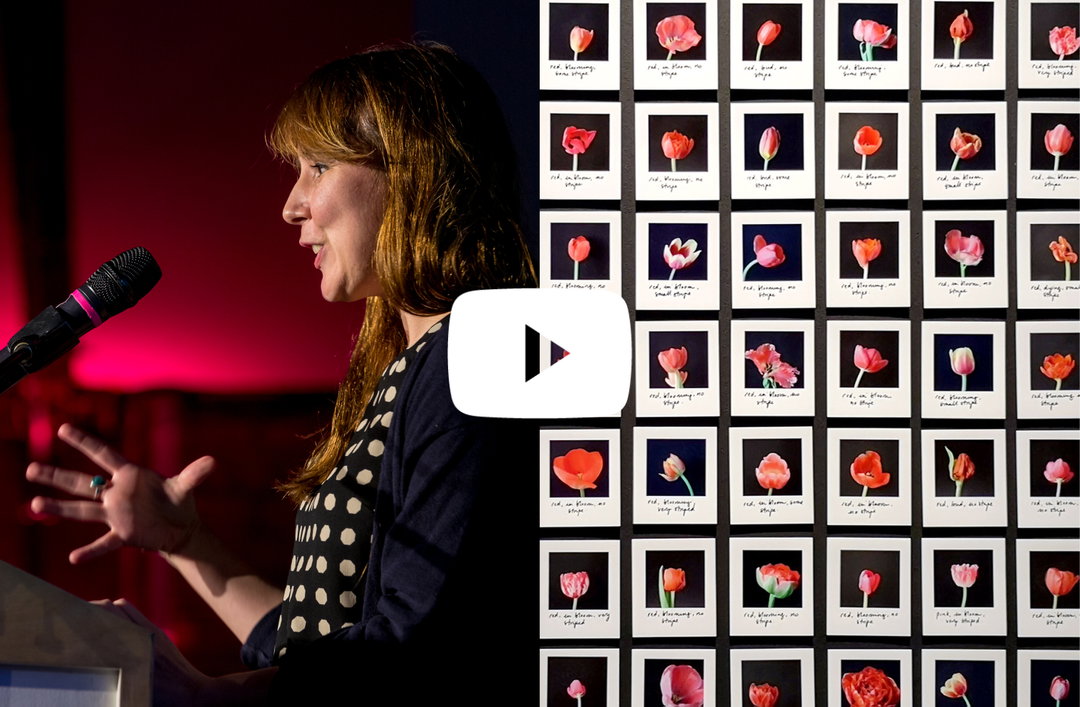 Anna Ridler offers a bitesize lesson in what machine learning actually is