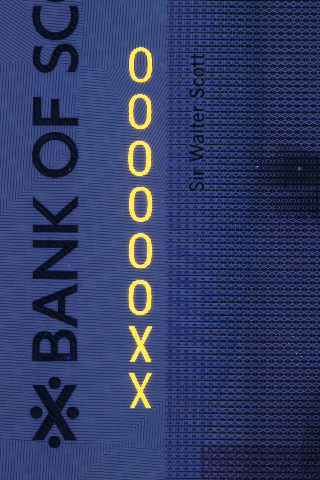 o street timorous beasties stuco nile hq rbs scottish banknote £20_graphic design illustration_itsnicethat3.jpg