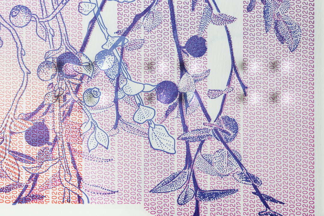 o street timorous beasties stuco nile hq rbs scottish banknote £20_graphic design illustration_itsnicethat5.jpg