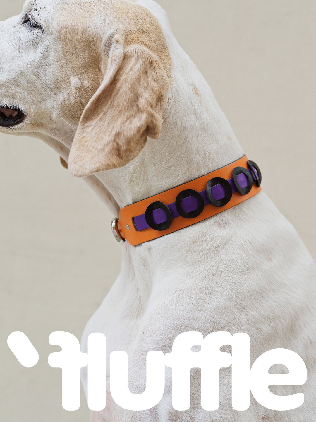 oddity-studio-fluffle-graphic-design-itsnicethat-03.jpg