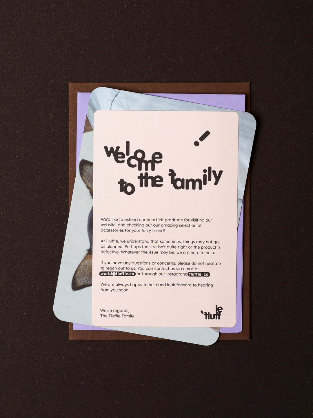 oddity-studio-fluffle-graphic-design-itsnicethat-10.jpg