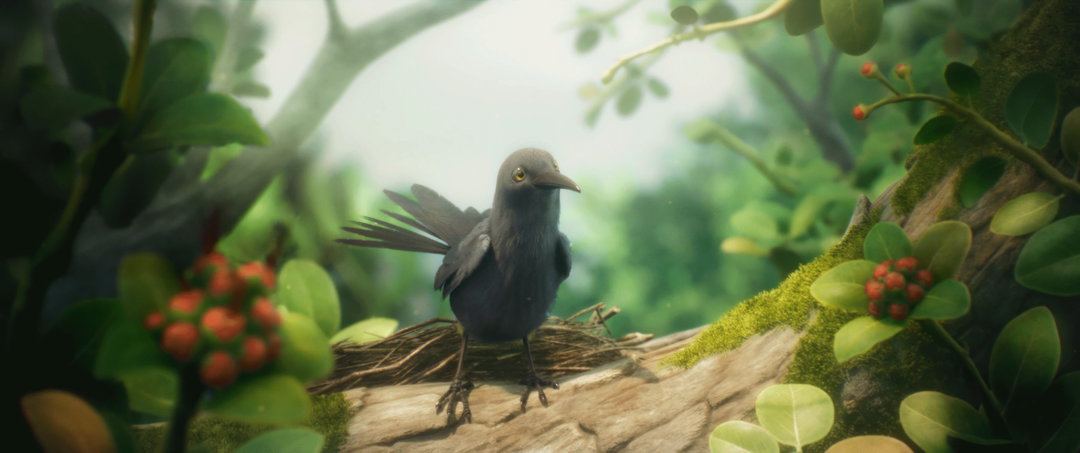 Echoes from the past: On the Edge’s moving new film recounts the extinction of the Kauaʻi ʻōʻō bird