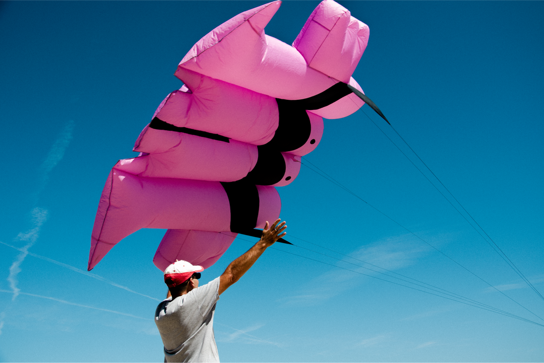 onmi_cometa_itsnic-featured-08.png