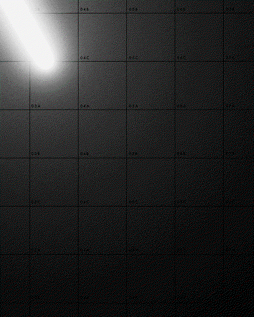 optical-arts-film-itsnicethat-Mutate03.gif