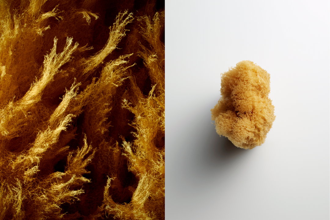optical-arts-film-itsnicethat-OdesseySponge.jpg