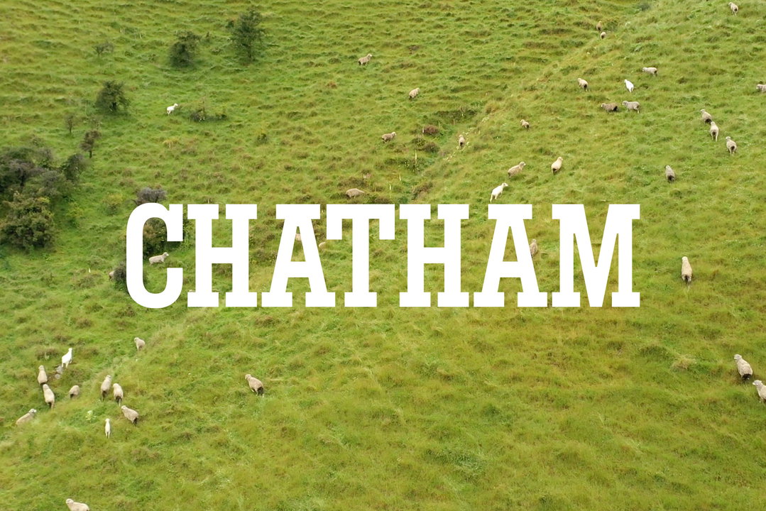 order-chatham-identity-graphic-design-itsnicethat-09.jpg