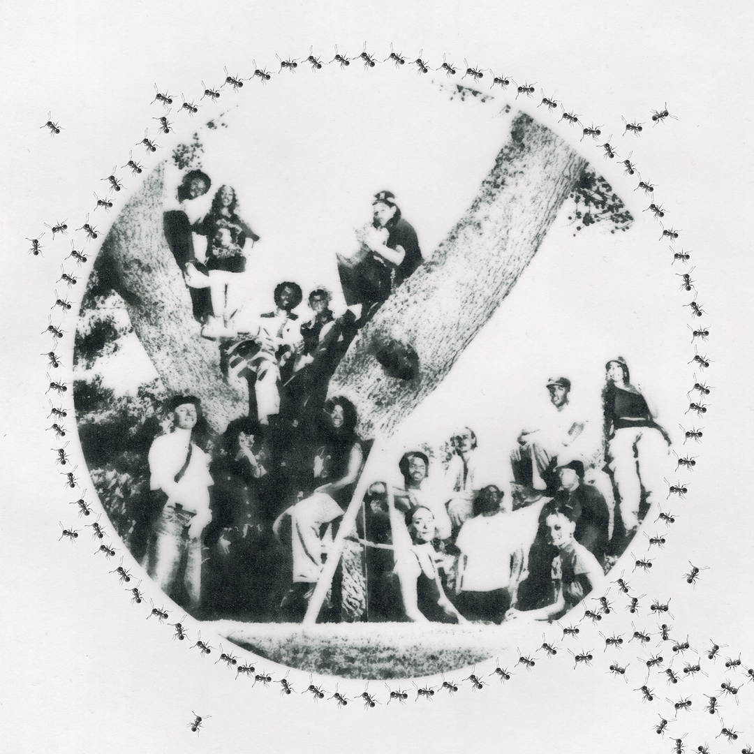 Pigeons and Planes_Jean Pierre Consuegra & Leo Horton