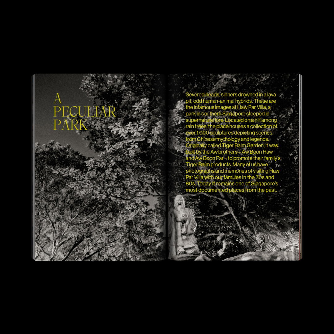 pang-xue-qiang-meantime-issue-2-publication-itsnicethat-13.jpeg