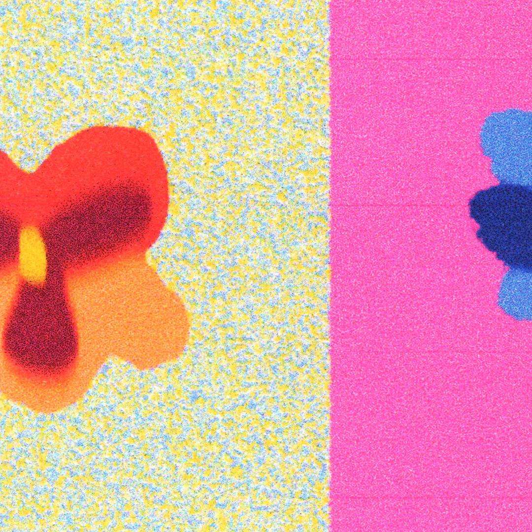 RosaSawyers-PansySelektor-Illustration-itsnicethat.jpg