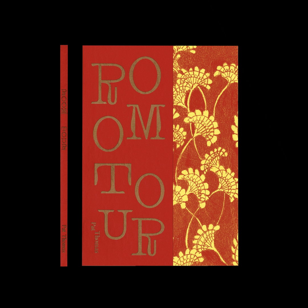 pat-thomas-illo-itsnicethat008-book cover.jpg
