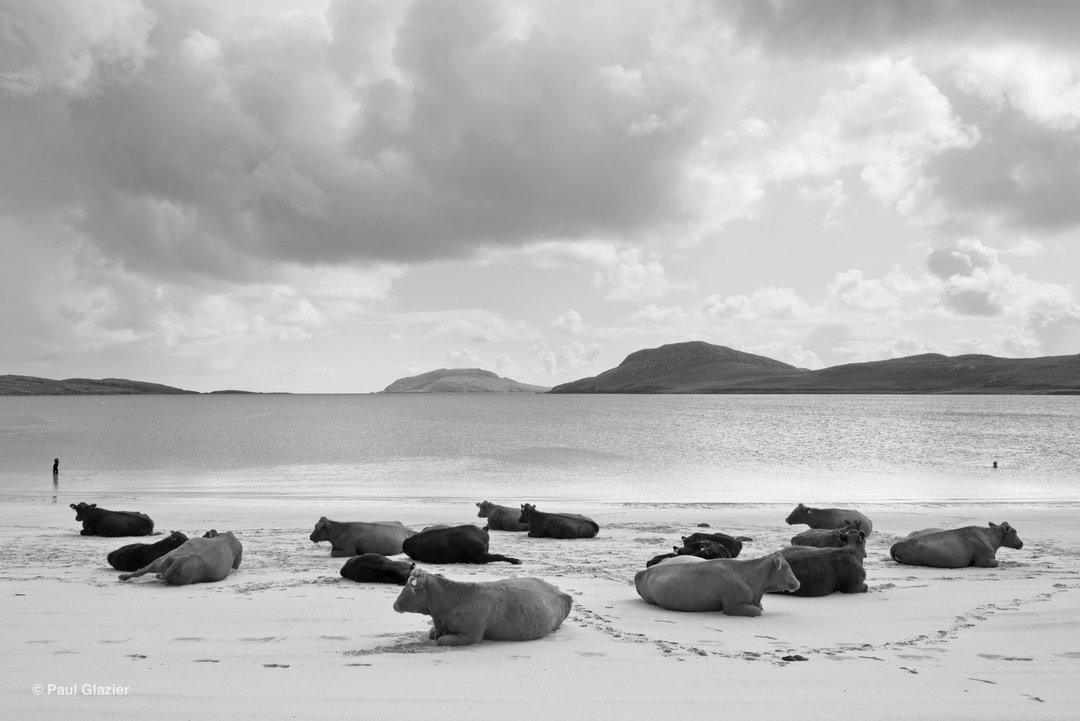 paul-glazier-island-tides-photography-itsnicethat-04.jpg