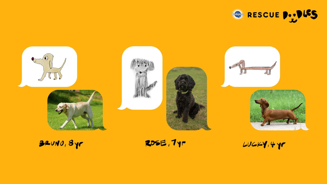 pedigree-rescue-doodles-digital-itsnicethat-02.jpg