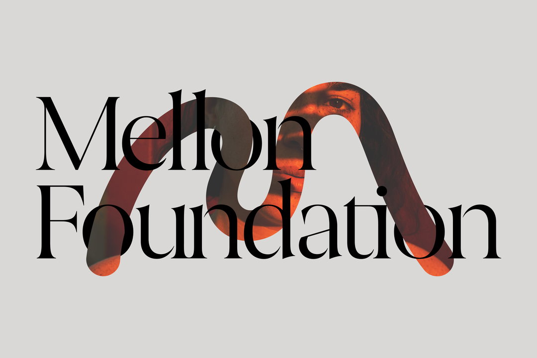 pentagram-eddie-opara-mellon-foundation-graphic-design-itsnicethat-04.jpg