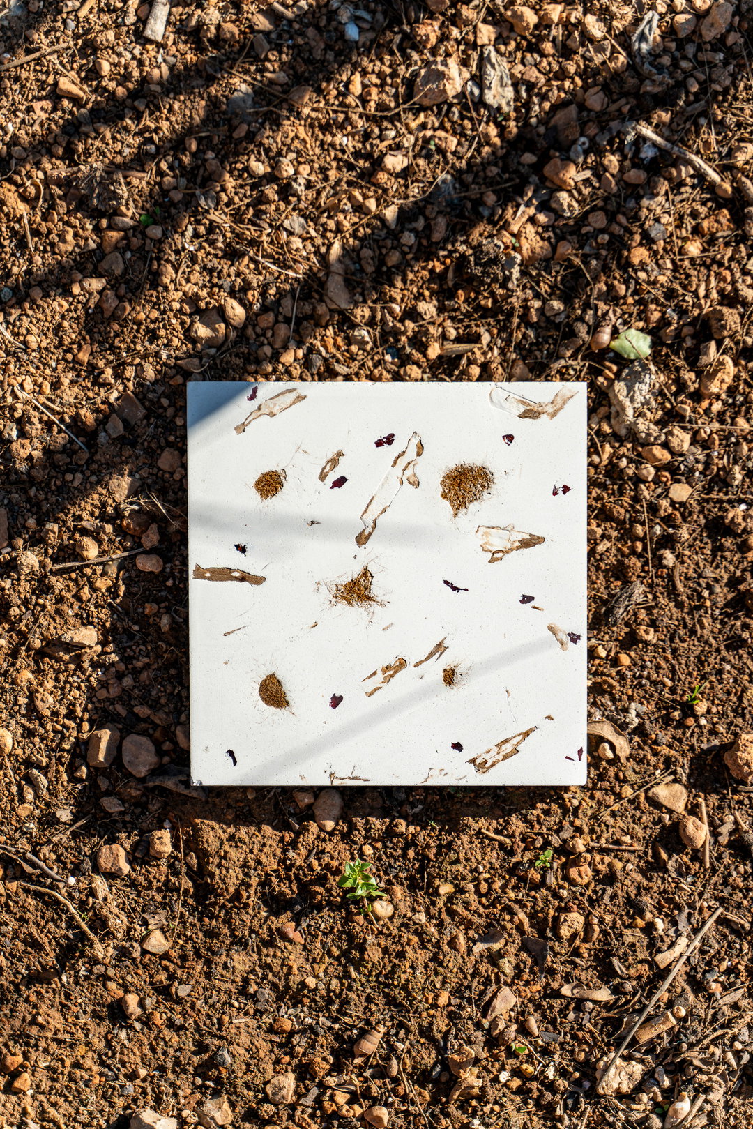 pentagram-huguet-product-design-itsnicethat-10.jpg