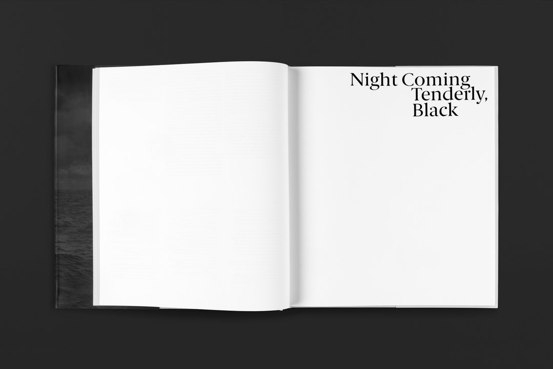 pentagram eddie opara dawoud bey two american projects publication itsnicethat5.jpg