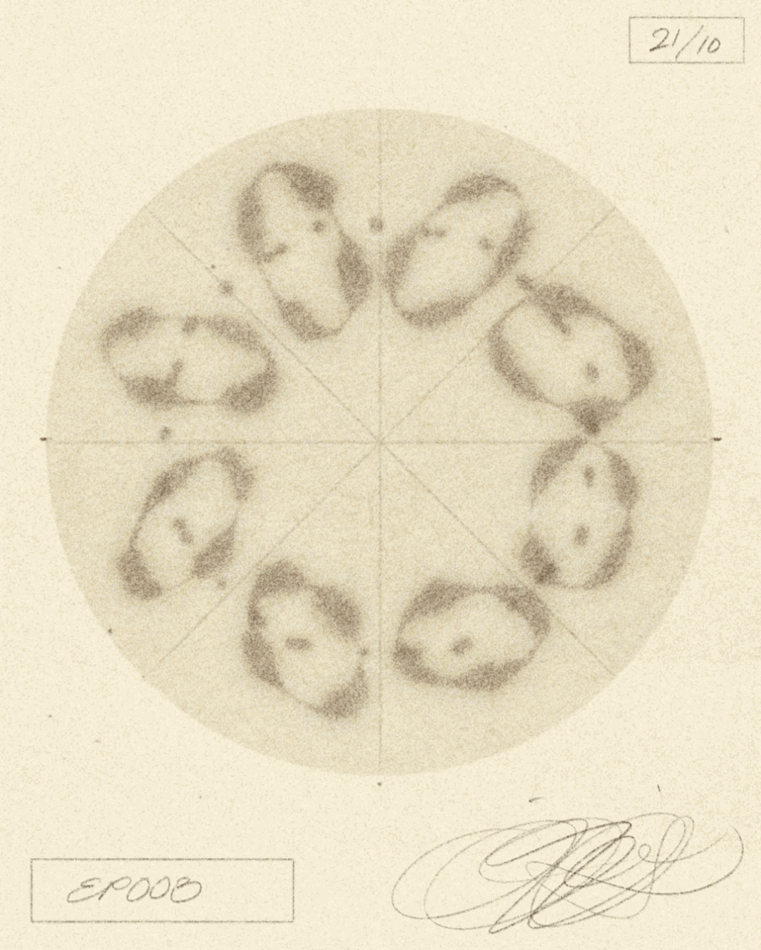 iris-wildros-ani-itsnicethat13