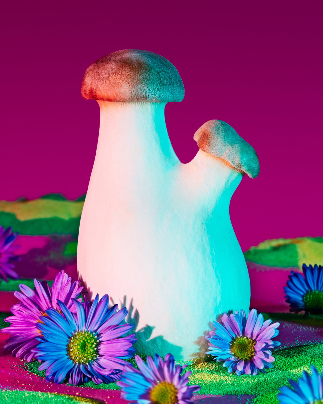phyllis-ma-mushroom-and-friends-work-photography-itsnicethat-09.jpg