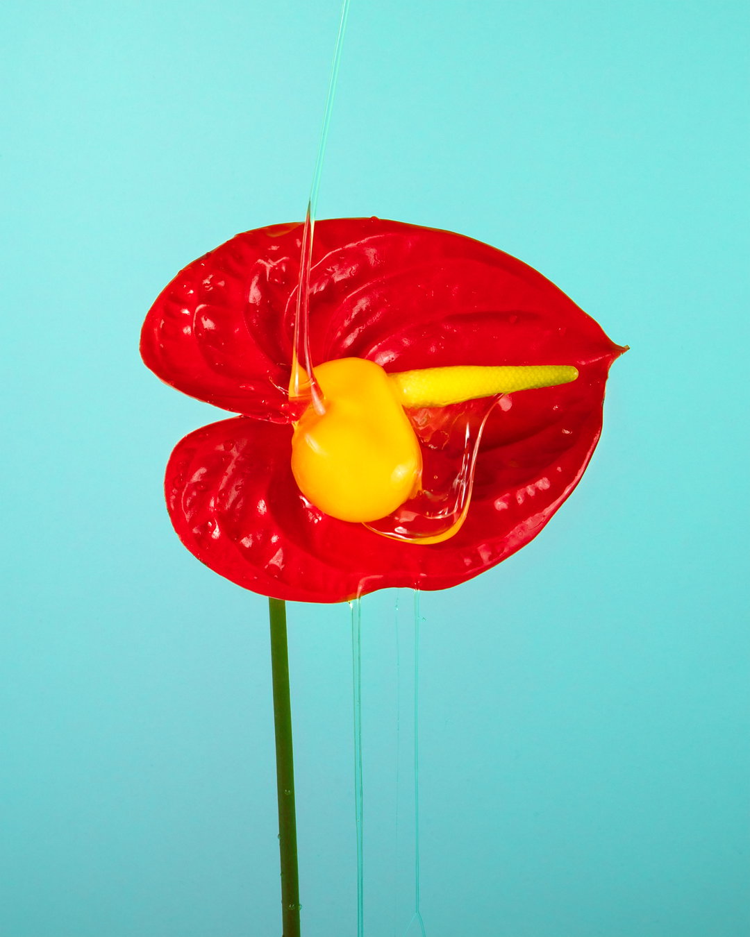 phyllis-ma-special-nothing-work-photograohy-itsnicethat-1.jpg