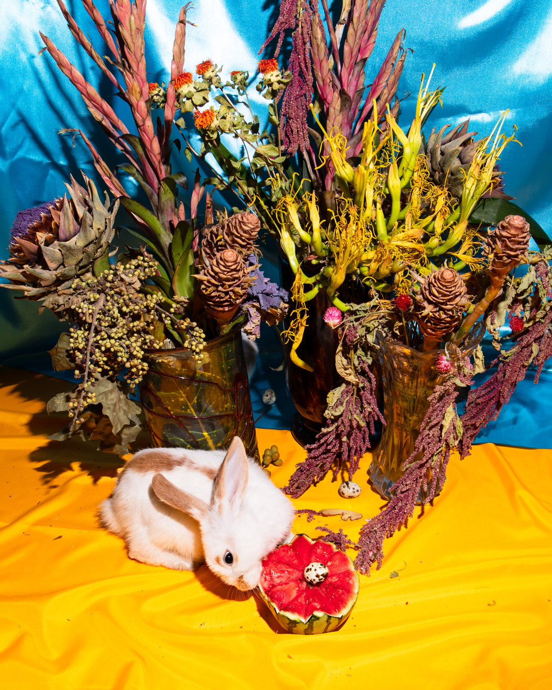 phyllis-ma-special-nothing-work-photograohy-itsnicethat-9.jpg