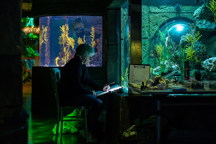 polytechnic_wild_life_drawing_graphic_design_itsnicethat_Aquarium_1.jpg