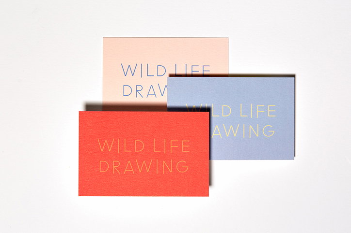 polytechnic_wild_life_drawing_graphic_design_itsnicethat_BUSINESS_CARDS_1200.jpg