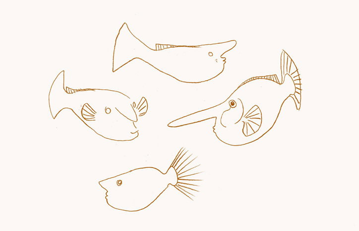 polytechnic_wild_life_drawing_graphic_design_itsnicethat_FISH_emily-lines.jpg