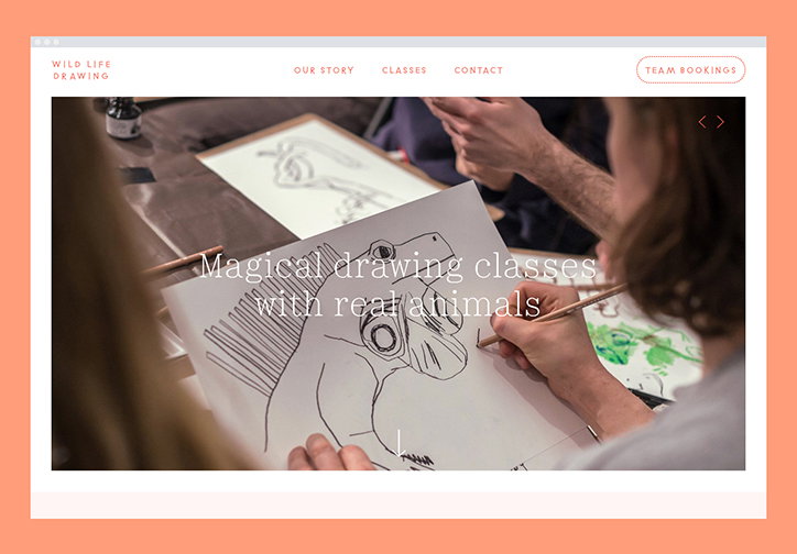 polytechnic_wild_life_drawing_graphic_design_itsnicethat_HOME_4.jpg
