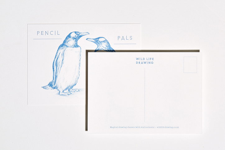 polytechnic_wild_life_drawing_graphic_design_itsnicethat_POSTCARD_1200.jpg