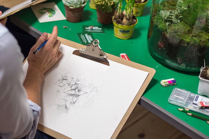 polytechnic_wild_life_drawing_graphic_design_itsnicethat_Plants.jpg