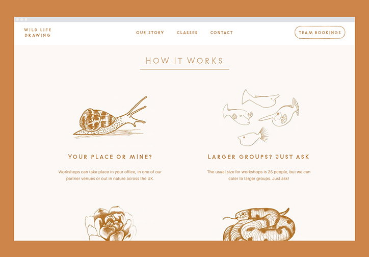 polytechnic_wild_life_drawing_graphic_design_itsnicethat_TEAMS_2.jpg