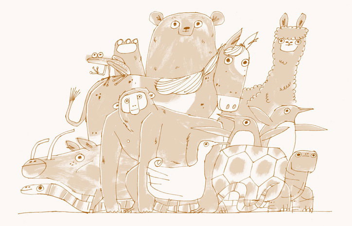 polytechnic_wild_life_drawing_graphic_design_itsnicethat_TEAM_matthew-the-horse.jpg