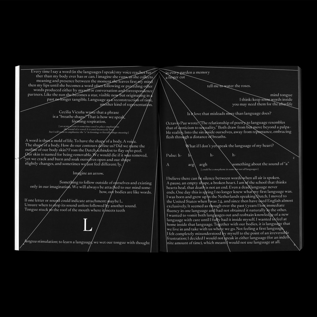 pouya-ahmadi-work-graphic-design-itsnicethat-02.jpg