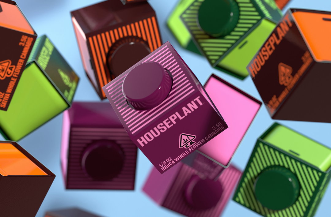 practica-ma-ma-houseplant-rebrand-packaging-graphic-design-itsnicethat-05.jpg