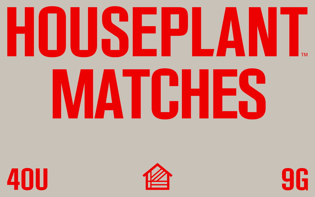 practica-ma-ma-houseplant-rebrand-packaging-graphic-design-itsnicethat-17.jpg