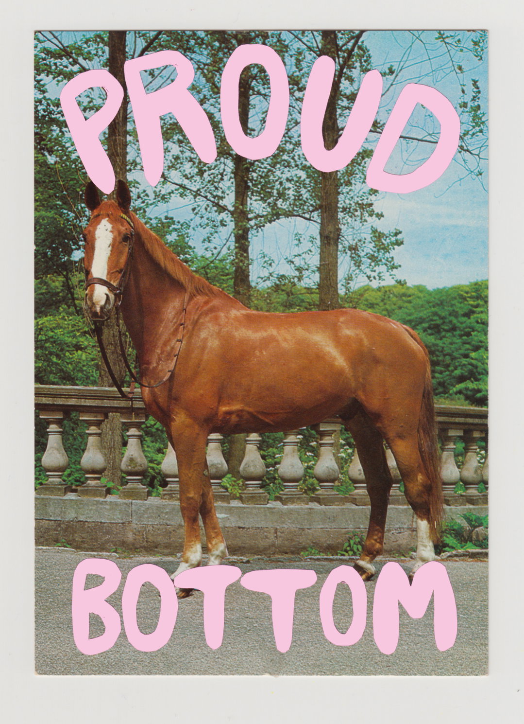 stef-mosebach-queer-horses-art-itsnicethat06