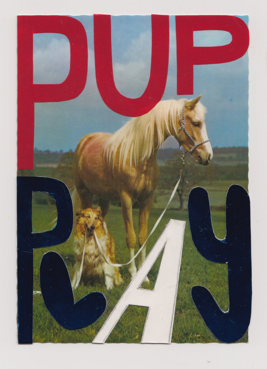 stef-mosebach-queer-horses-art-itsnicethat07