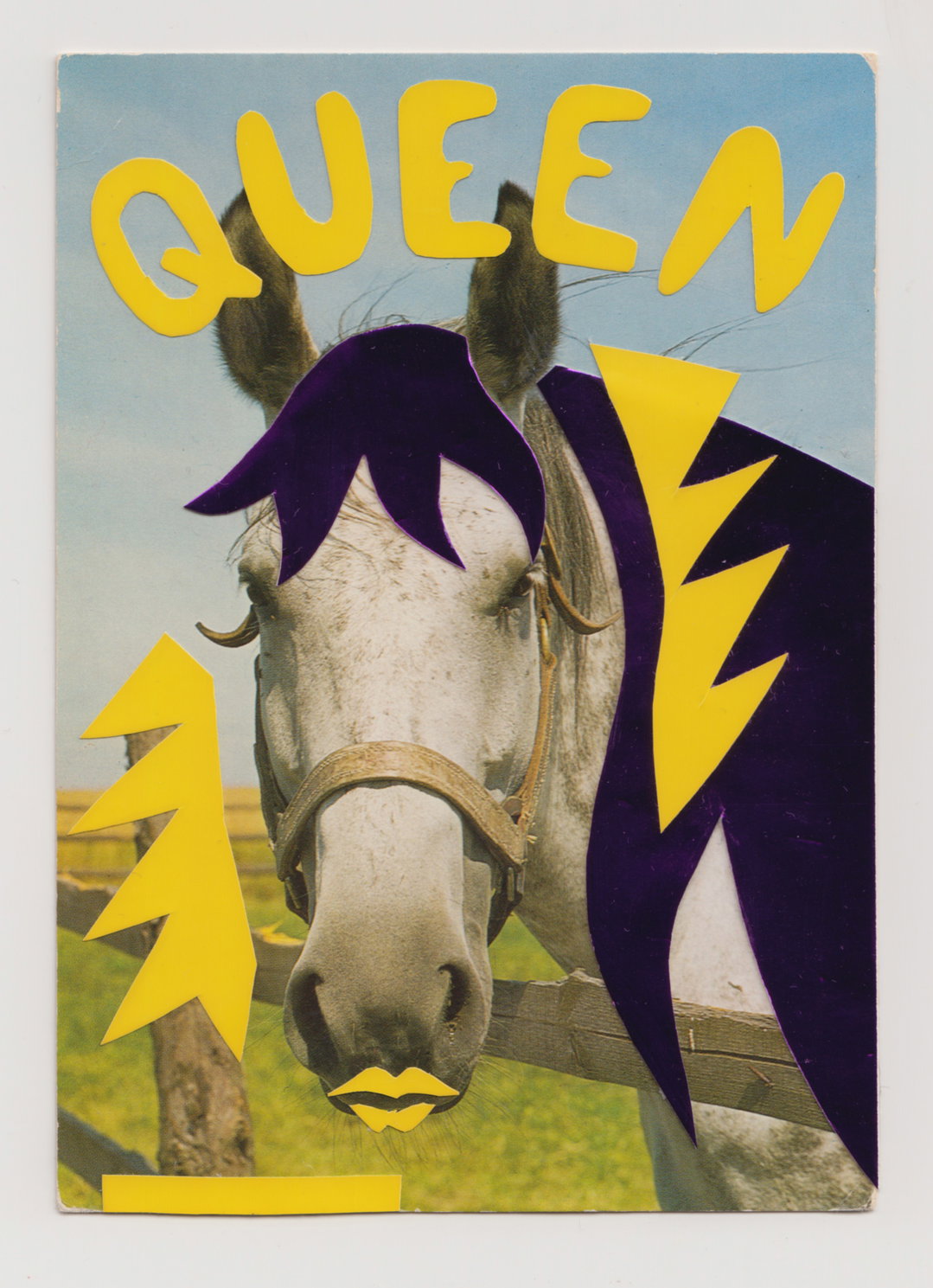 stef-mosebach-queer-horses-art-itsnicethat08