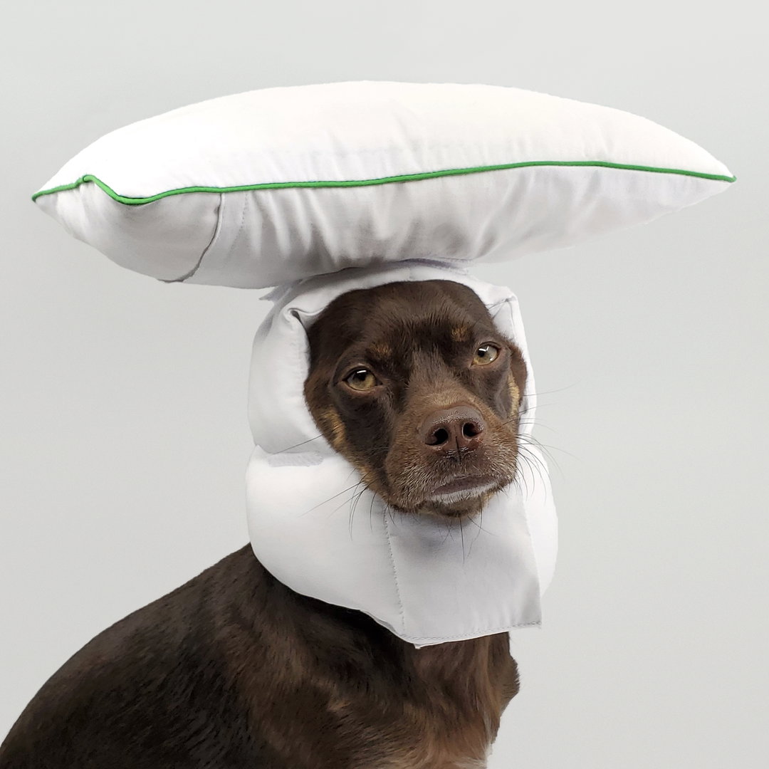 rajeev-basu-between-two-naps-fashion-itsnicethat-3.jpg