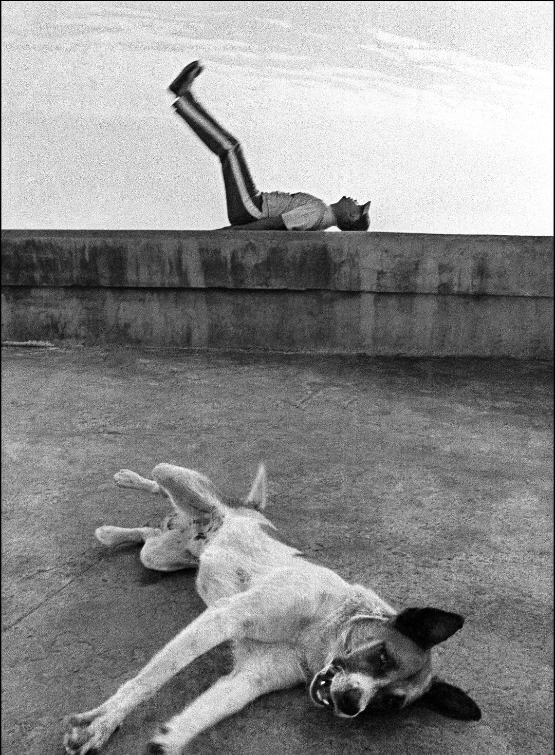 raul-canibano-photography-itsnicethat-07.jpg