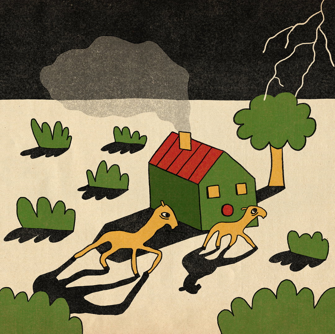 raysa-fontana-work-illustration-itsnicethat-5.jpg