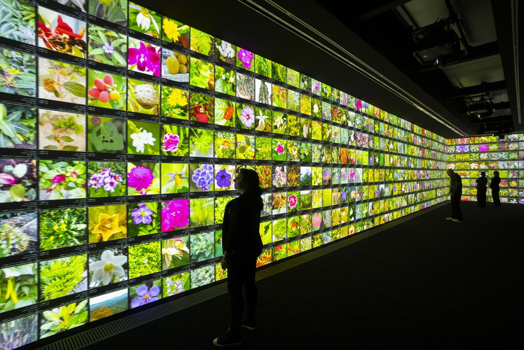 refik anadol echoes of the earth living archive ai art itsnicethat_HG102641.jpeg