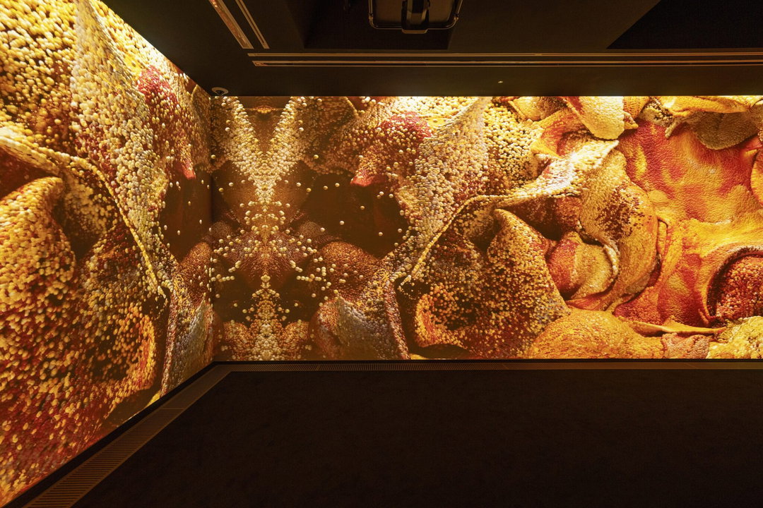refik anadol echoes of the earth living archive ai art itsnicethat_HG103807_resized.jpg