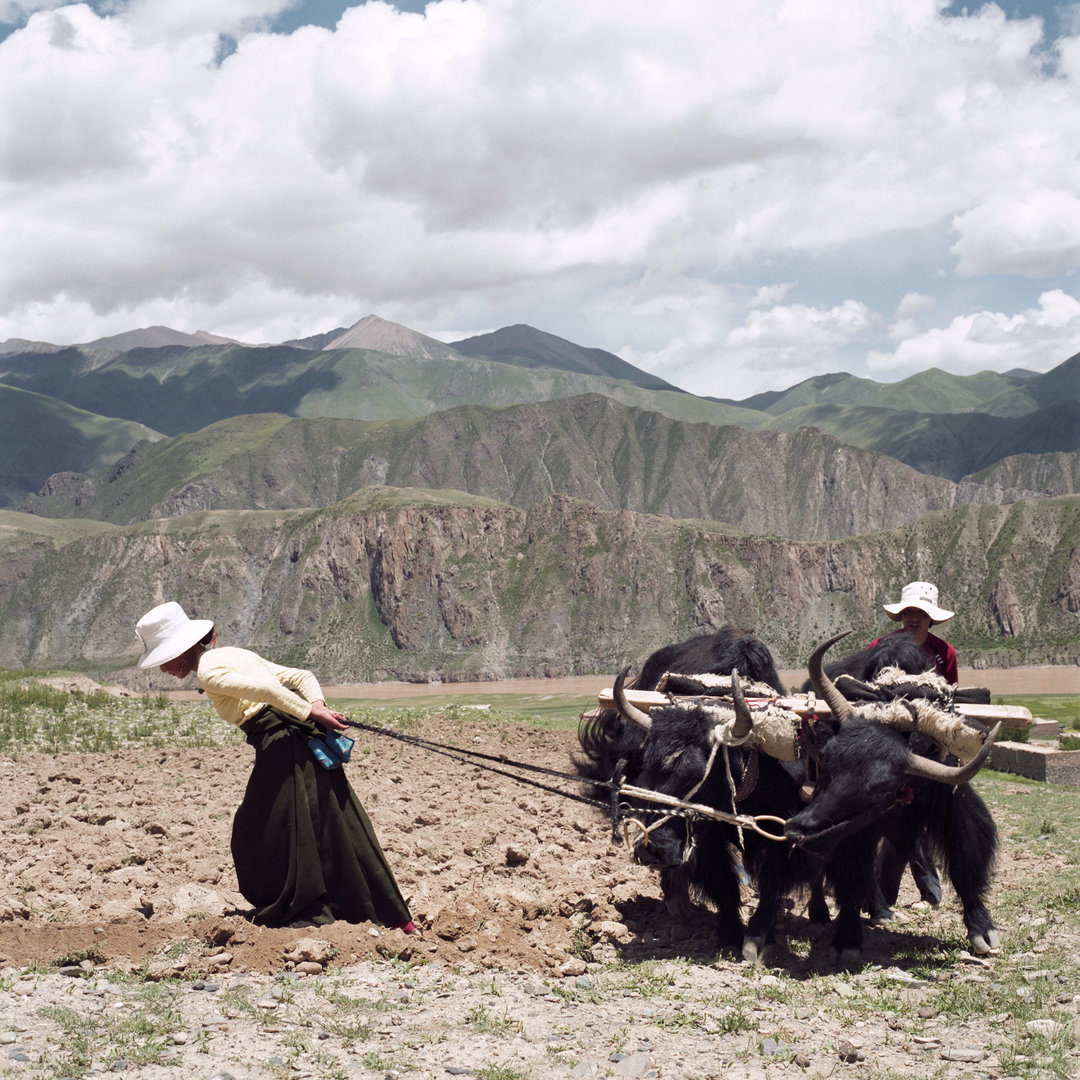 rinchen-ato-tibet-photography-itsnicethat-18.jpg