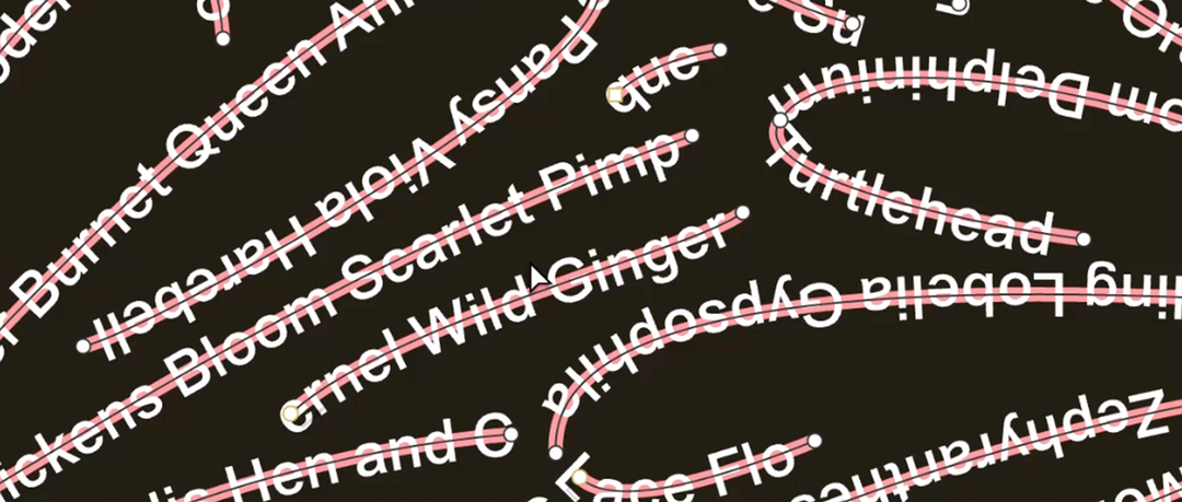 rob lines.png