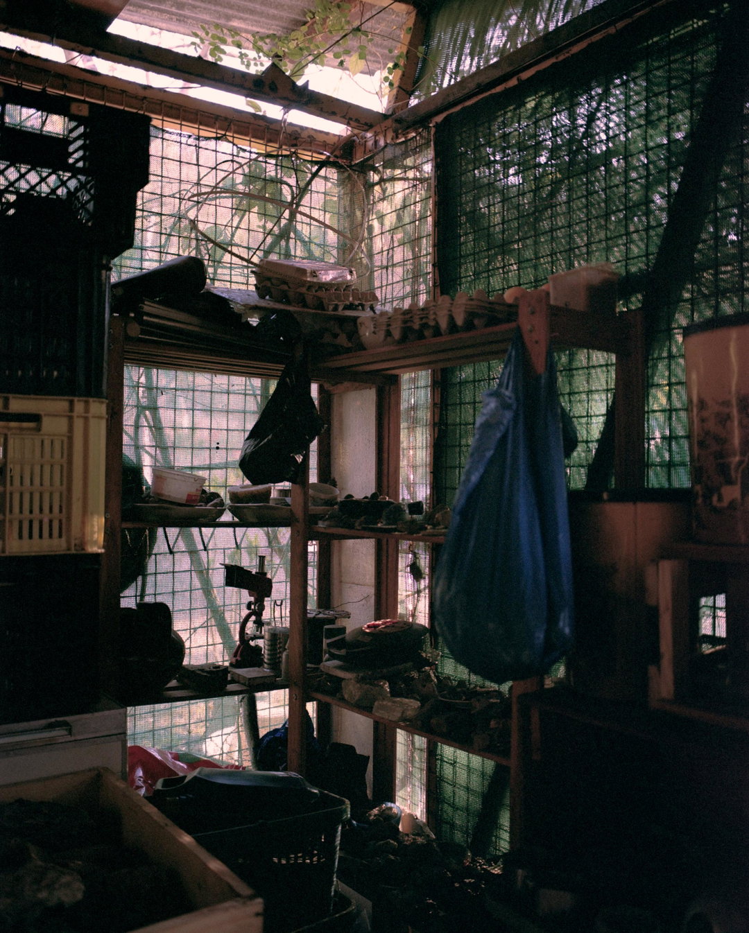 robin-bernstein-mapalakata-photography-itsnicethat-05.jpg