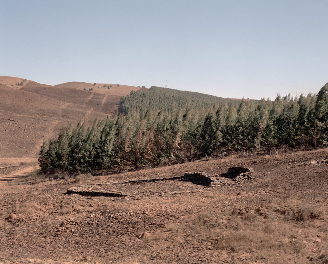 robin-bernstein-mapalakata-photography-itsnicethat-12.jpg