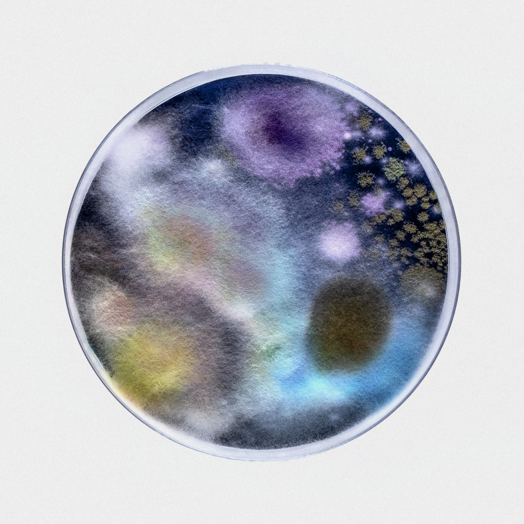 robocobra-quarter-art-itsnicethat-1.jpg